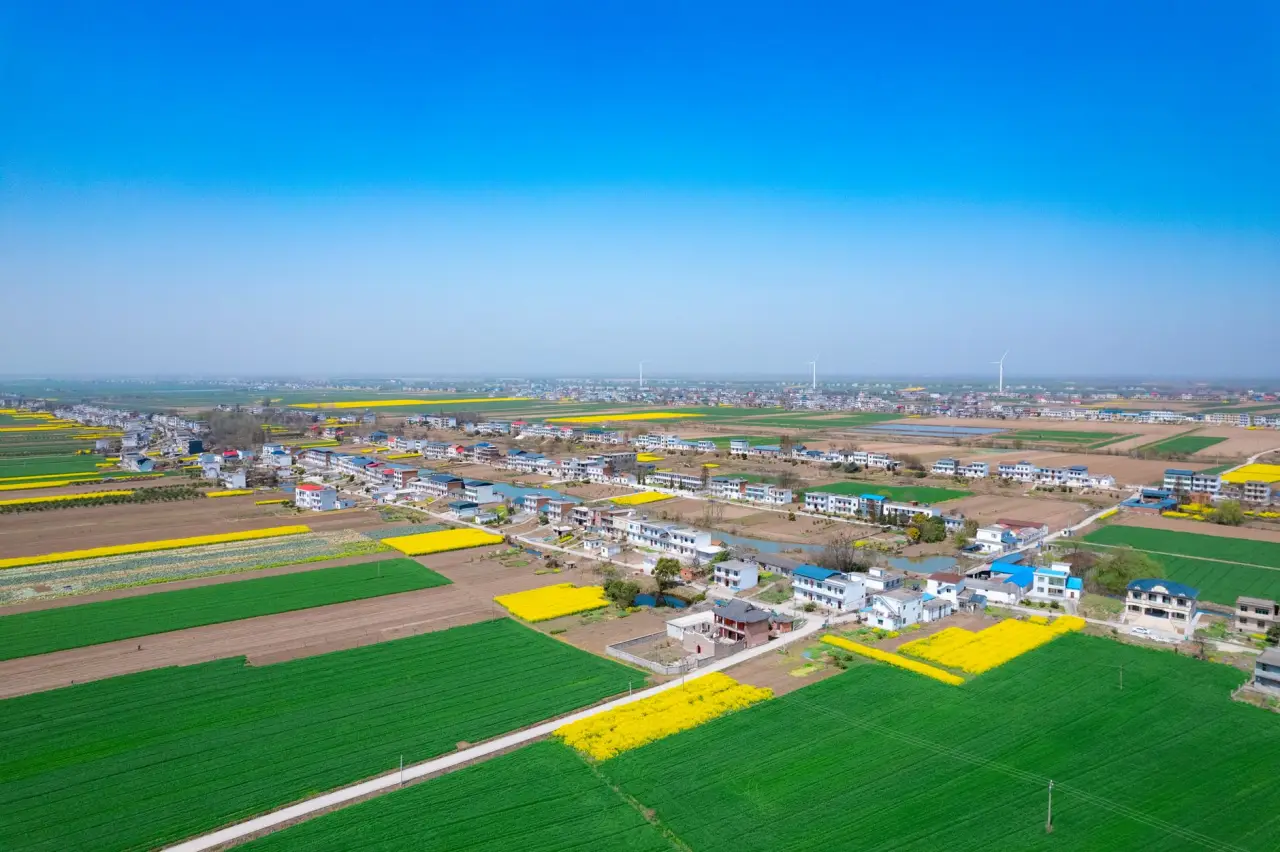 2025年福州木质工艺品行业技术升级趋势与市场机遇分析